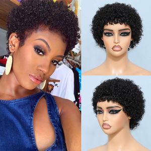 Europeiska, amerikanska och afrikanska korta pixier Curly Wig Short Curly Real Human Hair Headbands, Xuchang Wigs, Wool Rolls