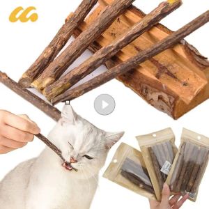 Toys 5/25/50PCS Natural Matatabi Cat Stick Mint Caught Bite Excited Rods Silvervine For Cat Teeth Cleaning Treating Pet Cat Products