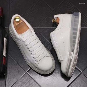 Sapatos casuais para homens moda moda cênicas amortecedores almofada de ar branco confortável grossa plataforma de plataforma atacado