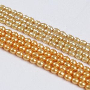 Catene da 6-7 mm/7-8 mm color oro perle di perle in acqua dolce a forma di riso per perle per perle per gioielli che producono una collana bracciale fai-da-te