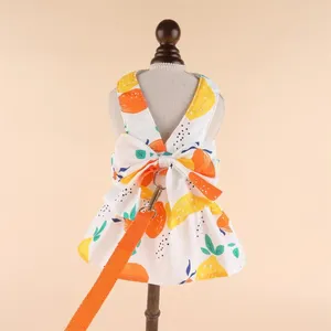 Abbigliamento per cani Dress per stampa di fragole per la principessa set di guinzagli adorabile decorazione bowknot per attività all'aperto primavera estate