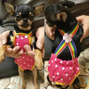 Dot Denim Dog Female Shorts Pants for Small Medium Dogs Chihuahua Pinscher Physiological Panties mascotas Underwear Accessories 240422