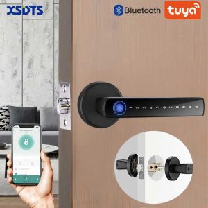 Kontroll XSDTS SMART DOOR LOCK HANDLE MED FINGERSPRINT KEY CARD Digital Door Lock Keypad Nyckelinmatning Elektroniskt lås Home House Apartment