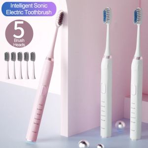 Heads Electric Tooth Brush Sonic USB uppladdningsbar ultraljud Automatisk tandborste IPX7 Vattentät med 5 penselhuvuden