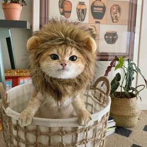 Cute Lion Mane Cat Wig Hat for Dogs and Cat Small Dog Pet Cat Decor Accessories Lion Wig Fancy Hair Cap Pet Supplies