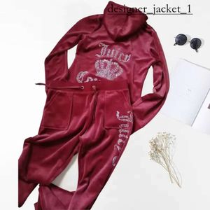 Suculento feminino tracksuit de outono mola feminina feminina de terno esportivo de veludo de veludo de veludo fino Capuz de maiús