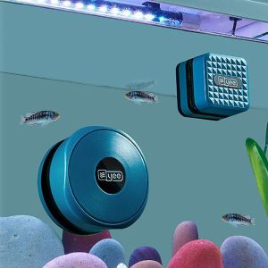 Acquari Serpatura del pesce Pennello magnetico Pesce Pesce Cleasure Artefatti Pulisci in vetro Strong Magnetic Fish Cleaning Ustruting Pulizia