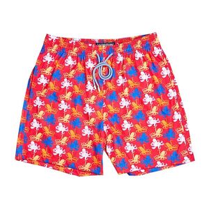 Vilebre Men's Shorts 2024 Hurtowa cena Turtle Swimming Beach Swim Swim Szybkie suche Bermudy Boardshort Vilebre Men 802