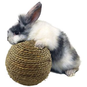 Leveranser 6/10 cm husdjur tugga leksak naturlig gräsboll för kanin hamster marsvin för tandrengöring levererar små husdjur leksaker kaninprodukter