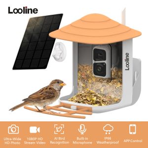 Câmera de alimentador de pássaros inteligentes de câmeras com painel solar wifi sem fio 1080p hd pássaro assistindo câmera captura automática de vídeos de pássaros detecção de movimento