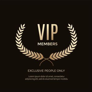 VIP -платежная сумка для ссылки эксклюзивные ссылки VIP003