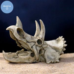 Aquários Animais Skull Fish Tank Dinosaur Ornamentos de dinossauros Aquário Rhinoceros Decoração óssea Decoração de peixe -aquileiro Crocodilo Tartaruga de carpa