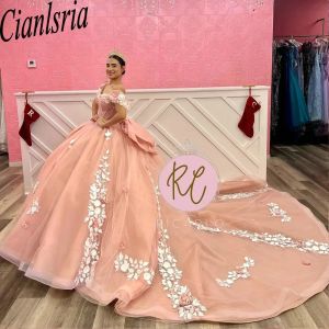 Appliques rosa Abito da ballo a fila in pizzo vestiti da quinceanera dalla spalla Fiori 3D Corset Vestidos de 15 Anos