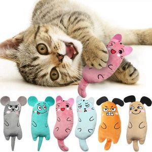 Domy Śliczne kotki z kocimi zabawne zabawne interaktywne pluszowe kota zabawka mini zęby szlifierki na kociak