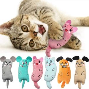 Casas fofas gatos gatos brinquedos de gato engraçado interativo gato brinquedo de gato mini dentes moendo brinquedos de catnip gatinho mastigando acessórios de animais de estimação de brinquedos grossos