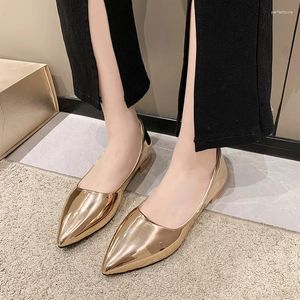 Casual Shoes for Women 2024 Slip-On Womens Flats Fashion Mary Jane Flat Pointed Toe Ladies Party Venta de Zapatos Mujer