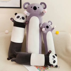 Bonecas 70130cm de comprimento de pelúcia gigante panda brinquedo cilídico travesseiro de travesseiro Koala