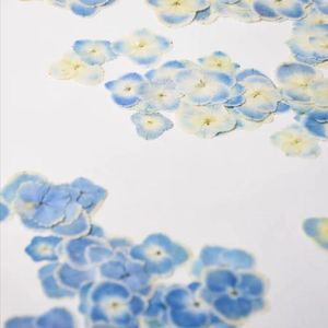 装飾的な花60pcsプレスドライライトブルーアジサイの花の植物樹脂エポキシジュエリーカードブックマークフレーム電話ケースメイク