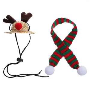 Собачья одежда ящерица шляпа рептилий аксессуары аксессуары косплей рождественский декор эластичный вечеринка для питомца шарф вязание