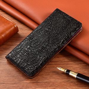 Carteiras Crocodilo Garra Capa de Cague Genuíno para Huawei Honor 9 10 10i 20 20s 20i 30 30s Lite Pro Plus Wallet Flip Tampa