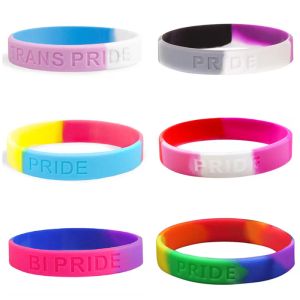 Stränge 20pcs Regenbogen Bisexuelle pansexuelle Transgender Asexuelle Lesben Pride geätzte Gummi -Armbänder Silikonarmbänder