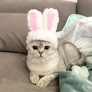 Rabbit Ear Cat Hat Plush Bunny Ears Dog Cosplay Pet Costume Pannband Kattunge Puppy Cap Teddy Headwear för födelsedags jul