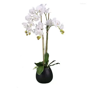 Dekoratif Çiçekler LCG Satış 32 