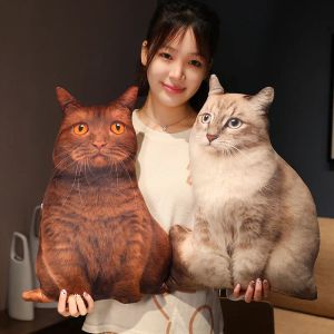 おもちゃ50cm実生活の鮮やかな猫のぬいぐるみシミュレーション猫クッションぬいぐるみ動物ぬいぐるみおもちゃベッドルームソファ装飾枕ギフト