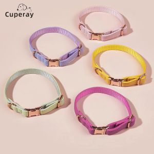 Collars Leather Pet Collar Adjustable PU Macaron Dog Collar with High Quality Rose Gold Buckle for Medium and Large Dogs Pet Accessories