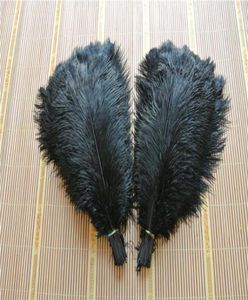 whole 100pcslot Ostrich Feather Plumes OSTRICH FEATHER black for Wedding centerpiece wedding decor coetumes party decor5005911
