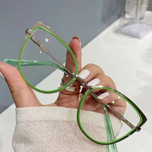 Sunglasses 2024 Anti-blue Light Women Cat Eye Eyeglasses Frame Brand Designer Oversized Optical Glasses Frames Clear