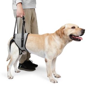 Seles Dog Lift Harness Dog Support Harness med mjuk vadderad för bakben Justerbar hundsling för äldre skadade hundar