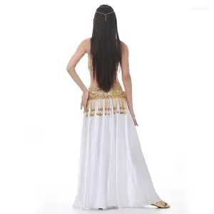 Stage Wear Performance Dancewear Bellydance Clothes Outfit Split Skirt Professional Women Egyptian Belly Dance Costume Set Long