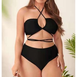 Neues Plus -Size -Fett -PO -Festfarbbikini Bikini Badeanzug