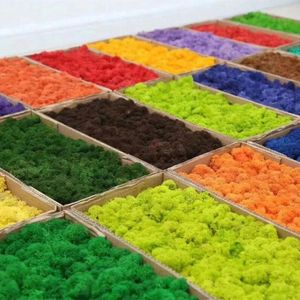 Decorative Flowers Artificial Green Plants Eternal Life Moss DIY Crafts Grass Garden Home Room Decor Mini Landscape Fake 200g