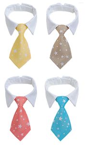 Odzież dla psa kolorowy krawat krawat mały akcesoria kota kota garnitur dla psów