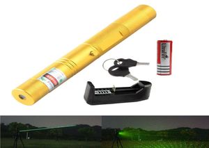 High Power 532nm 303 Typ Laserzeiger Green Beam Laser Pointer Lazer Projector Taschenlampe mit unterschiedlichen Shellfarben2 in 1 STA4180758