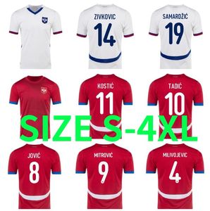 2024 2025 Maglie da calcio Serbia 24 25 Armenia North Macedonia Shirt da calcio Serbiea Vlahovic Milivojevic Mitrovic Kostic Kostic Kolarov