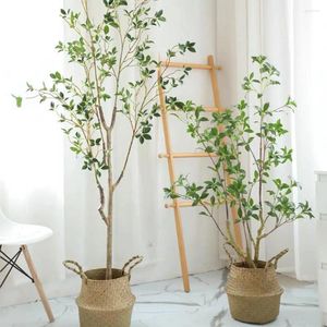 Flores decorativas Simulação Planta Ficus artificial Ramos de grande fidelidade Decoração realista Toon Folhas Camellia Leaf House