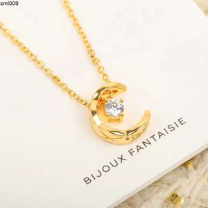 Sterling Silver Diamond Designer Pendant Necklace for Women Luxury Brand Shing Crystal Stone Short Choker Necklaces Jewelry Gift