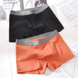 Underbyxor man plus storlek 5xl mjuk sexig solid färg bomulls bomull manlig underkläder boxare andningsbara män boxare shorts boxershorts