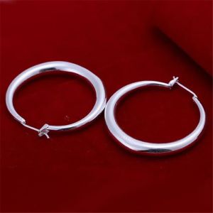 Earrings factory price E20 wholesale circle hook silver color earrings high quality fashion classic jewelry wedding women lady E020