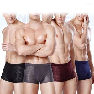 Underbyxor mäns is siden andningsbara underkläder herrar mesh byxor transparenta boxershorts män boxare shorts hombre bagageutrymme underkläder