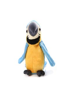 Parrot Electric Plush Doll Filled PP Cotton Learn Speaking Shake Head Swing Wings 120 Music Sound Recording Creative Gift Funny So3603920