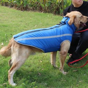 Parkas vestiti per cani da compagnia di grandi dimensioni inverno abbigliamento per campassino da pet per cagnolini per cani per cani grandi bulldog dorati abiti Labrador