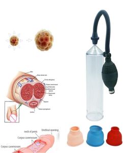ペニスエクステンダーポンプペニス拡大性男の勃起のための性的おもちゃペニス拡大拡張ポンプY7408113のためのディック真空ポンプスリーブ