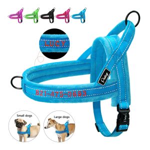 CHARTS Mjuk anpassad hund Harness Nylon Padded broderi PET Valp Chihuahua Harness Vest Justerbar för små medelstora stora hundar Pug