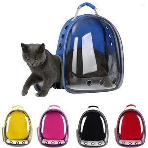 Kattbärare djurbärare ryggsäckar påsar för små hundar katter transparent rymdbubbla husdjur flygbolag godkända resor