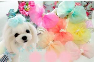 Accessori per cani Accessorio Accessore fatti a mano filo di neve perlato Bowknot Hairpin Pet Cats Clips Clip Princess Flower Hairpin