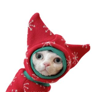 Accessori SPHINX Kitten Outfits Devon Rex Siameseautumn Inverno Pet Sphynx Cat Costume Outfit Conis Cat Chiesa Cat Cat Cat Hatless Cat Cat Hat